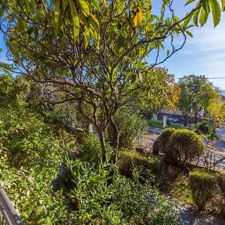 Drago * Novi Vinodolski