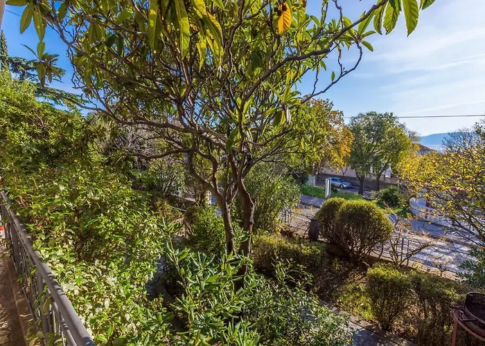 Drago * Novi Vinodolski